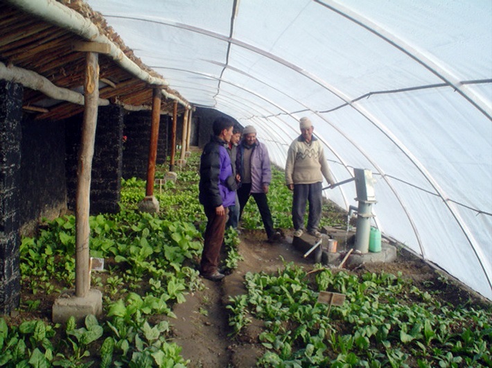 Underground Greenhouse Uses and Benefits • Insteading